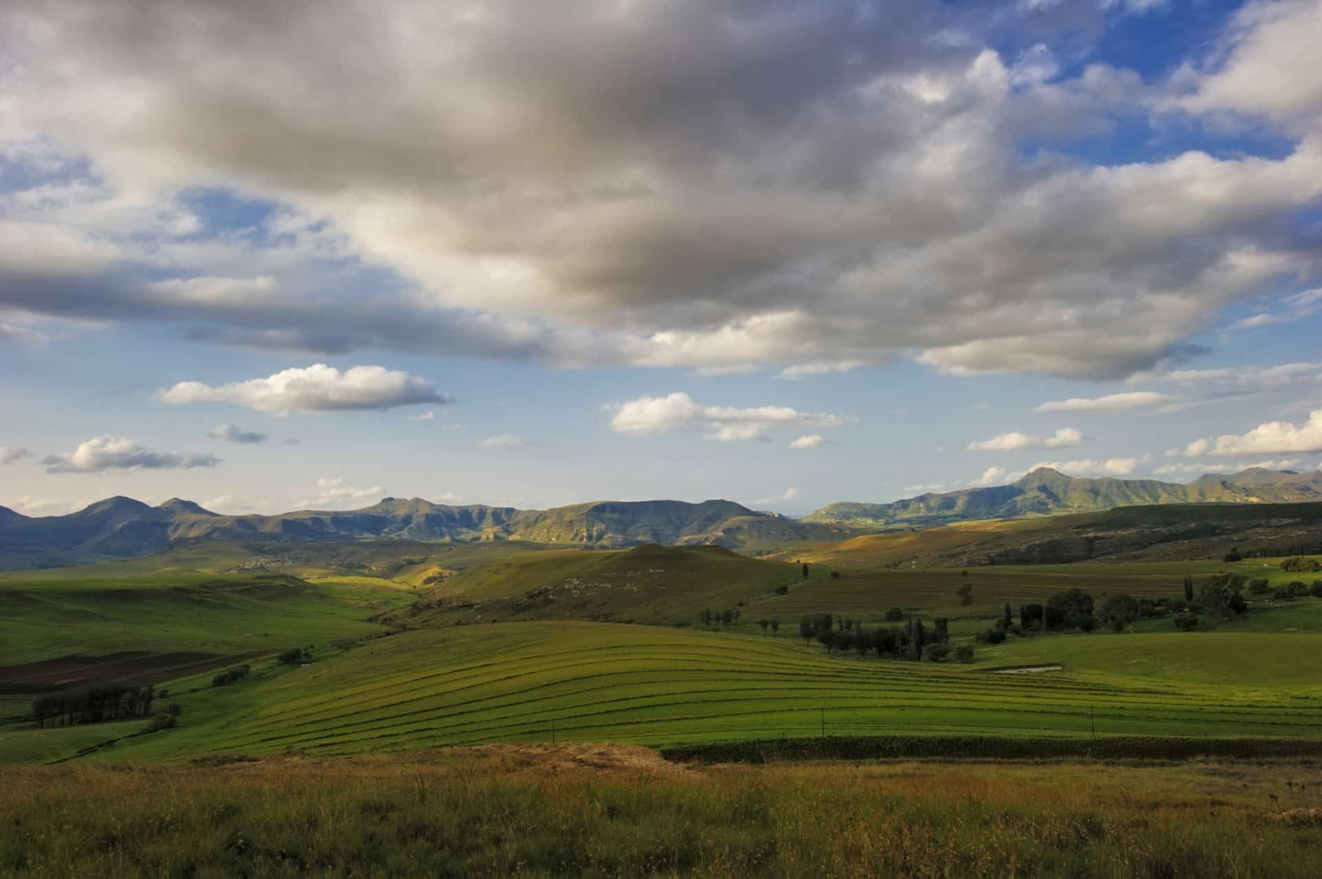 AgriCarbon | South Africa’s leading carbon farming programme – South ...